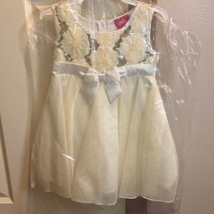 NWT Toddler girls cute dress!